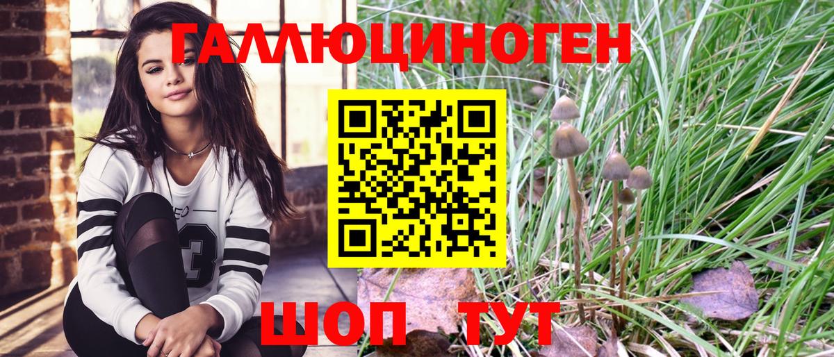 Железноводск  Галлюциногенные грибы Psilocybe  Вход с VPN 