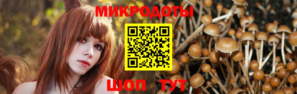 Псилоцибиновые грибы Cubensis Железноводск